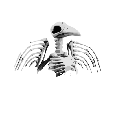 Falke und Eule